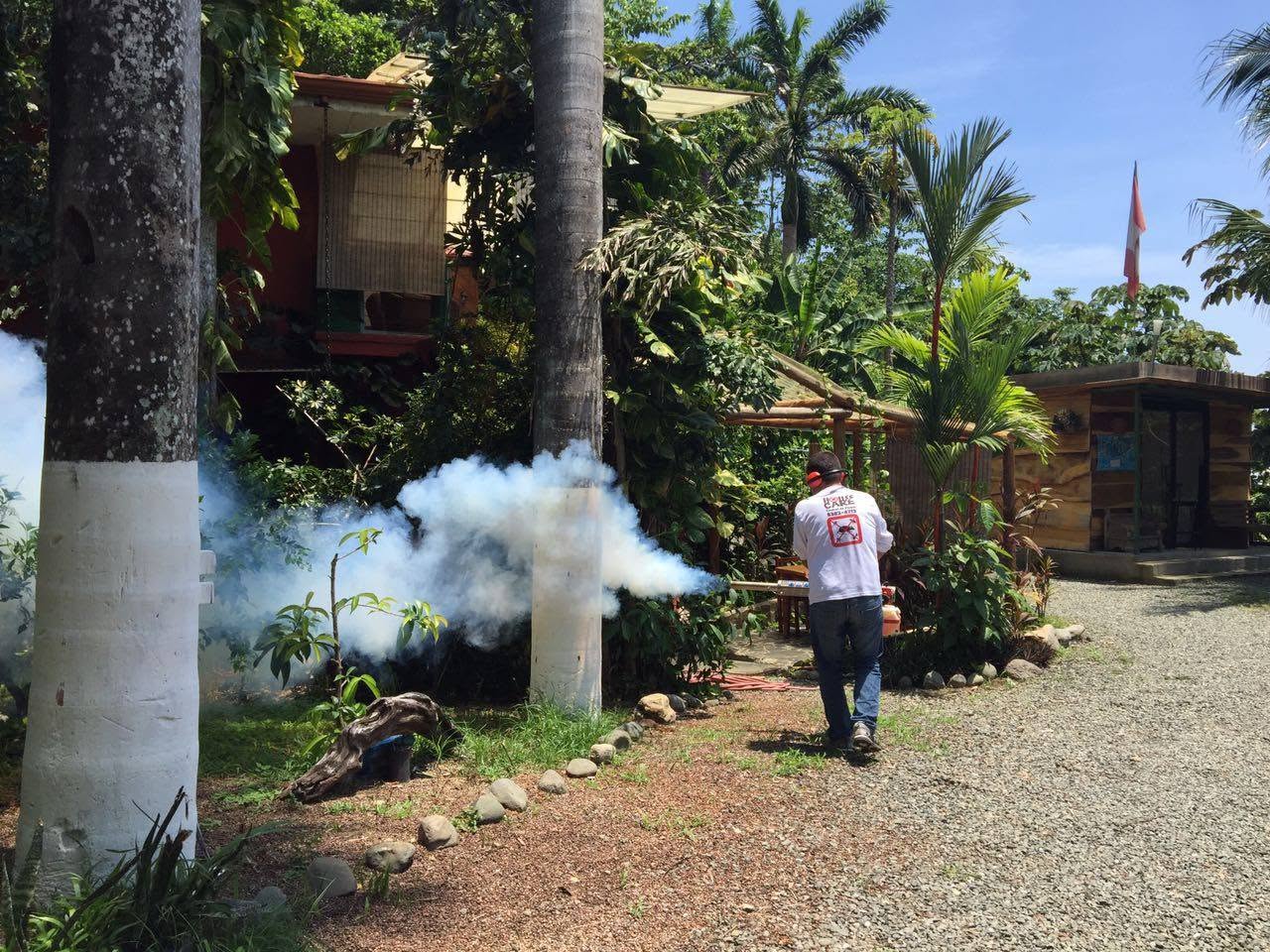 Fumigacion en jardin de propiedad